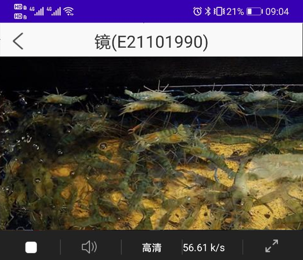 水產(chǎn)監(jiān)測(cè)